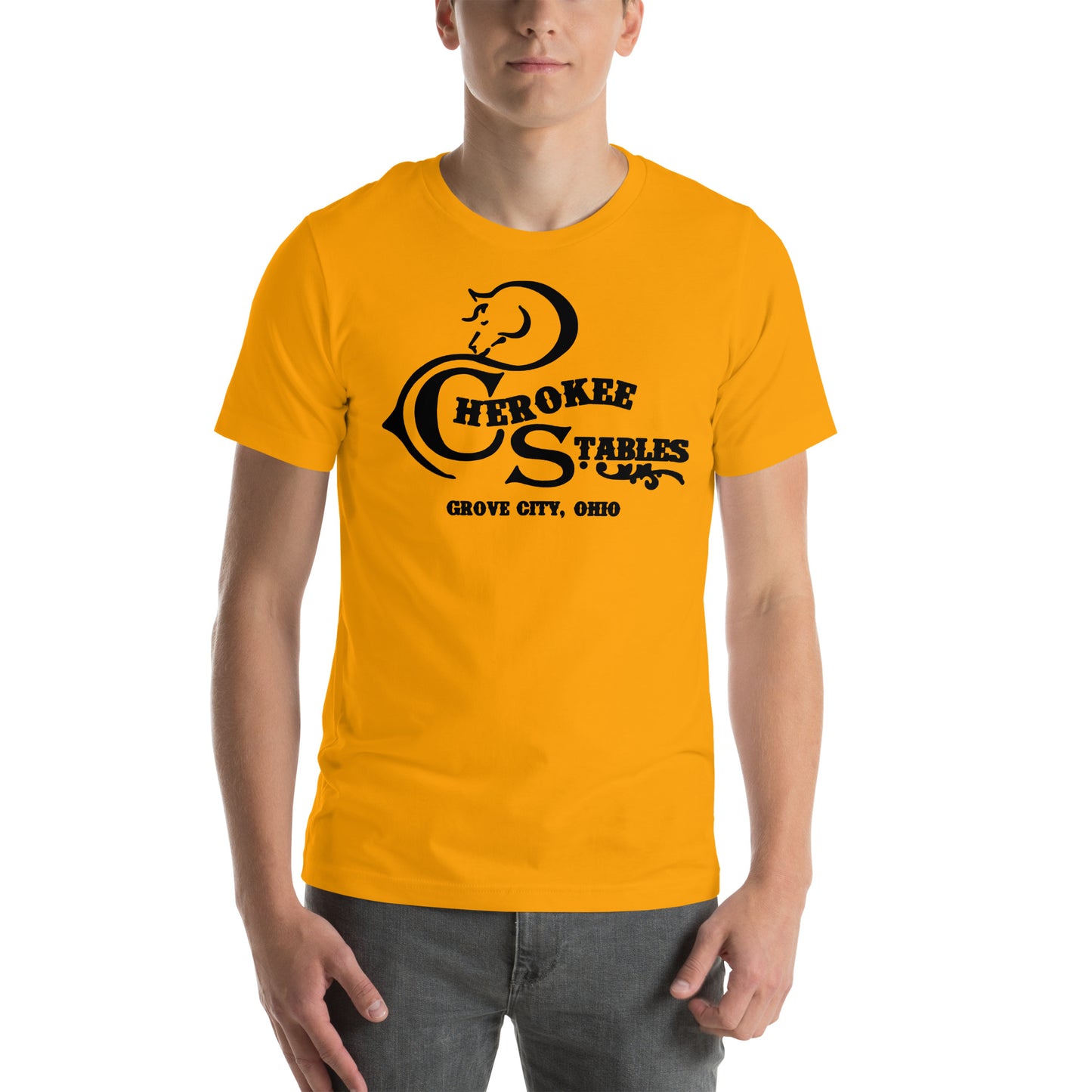 Bella Canvas Unisex T-Shirt - Cherokee Stables